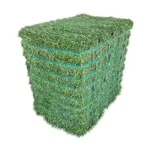 Alfalfa Hay — wholesale animal feed from Francoalva Sp. z o.o., Warsaw