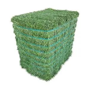 Alfalfa Hay — wholesale animal feed from Francoalva Sp. z o.o., Warsaw