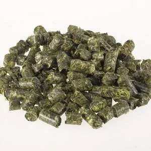 Alfalfa Pellets — wholesale animal feed from Francoalva Sp. z o.o., Warsaw