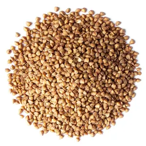 Organic Buckwheat Kasha — wholesale wheat & grains from Francoalva Sp. z o.o., Warsaw