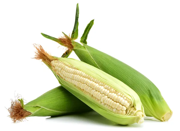 Maize — wholesale wheat & grains from Francoalva Sp. z o.o., Warsaw